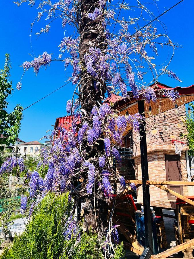 Villa Sunshine House Kutaisi Esterno foto