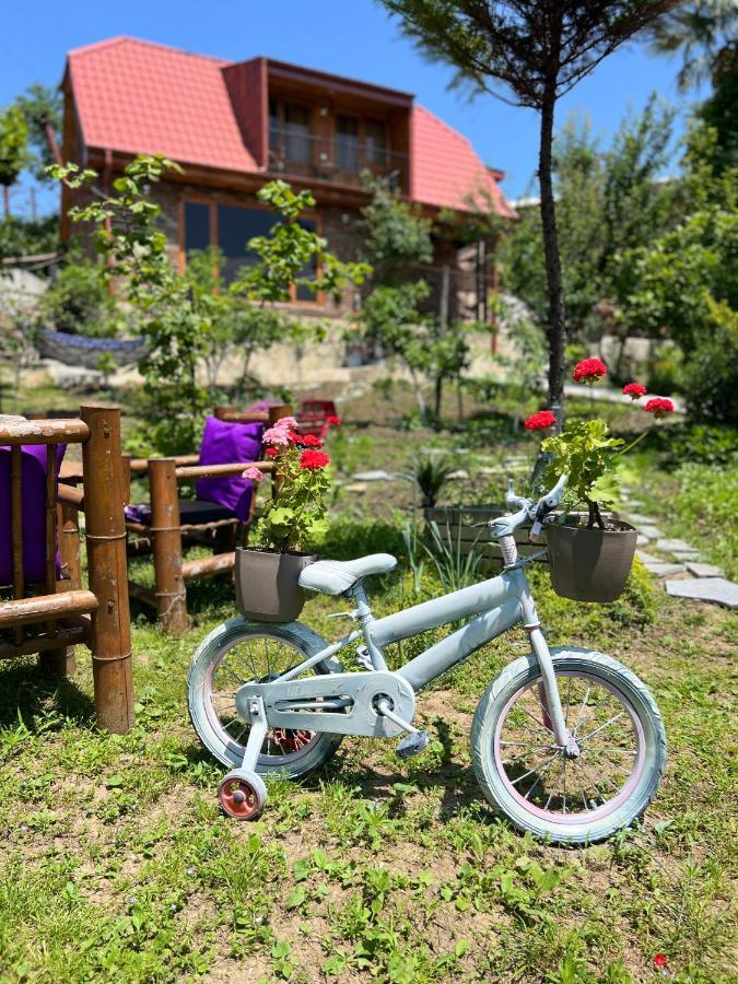 Villa Sunshine House Kutaisi Esterno foto